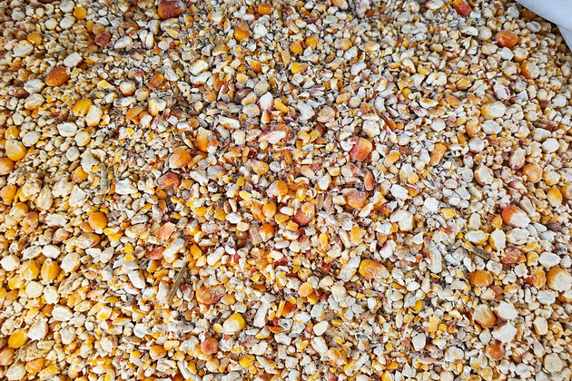 Відходи очищення кукурудзи. Фото ілюстративне